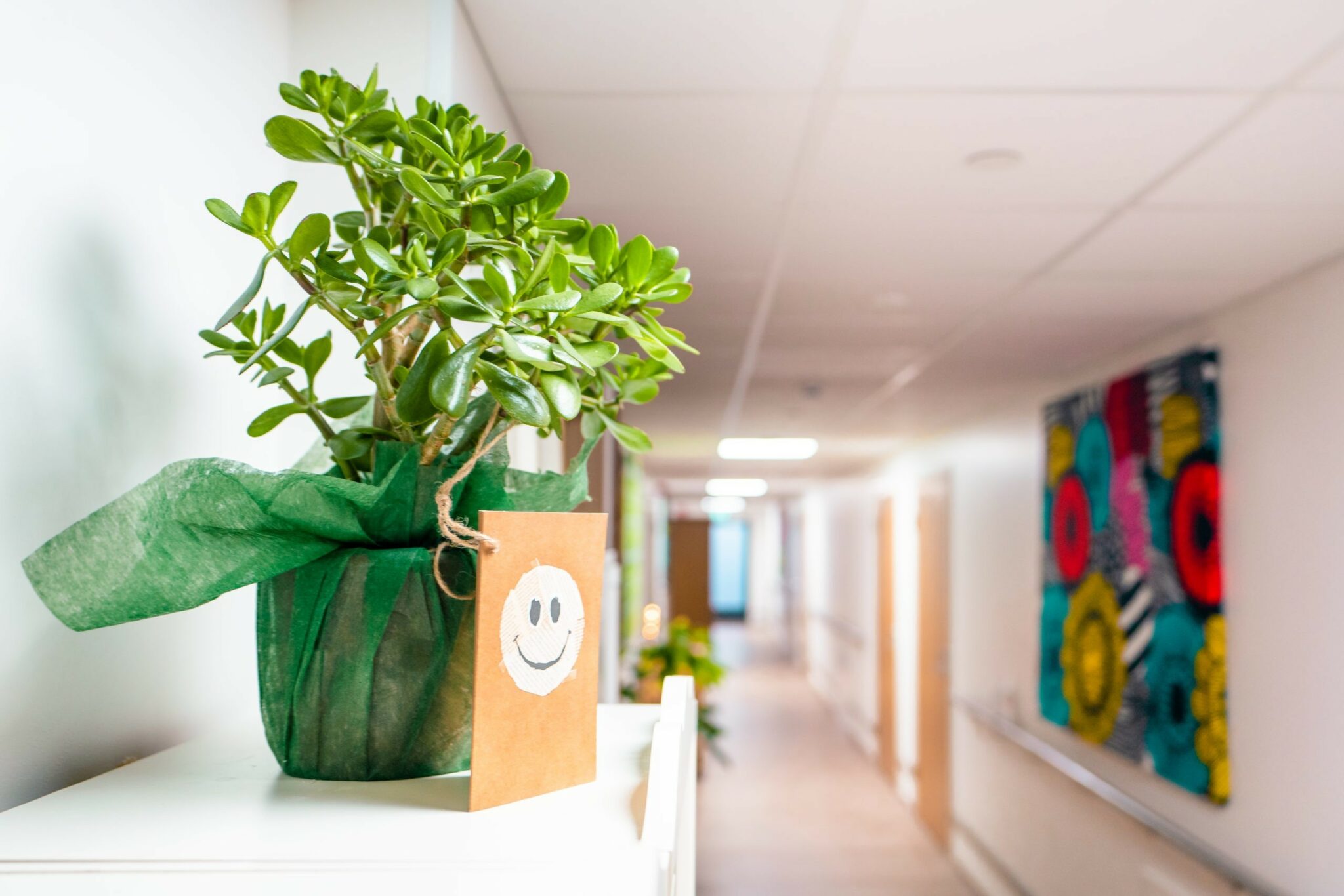 Tikakoski palvelukortteli